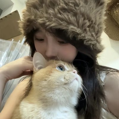 爱情有什么道理