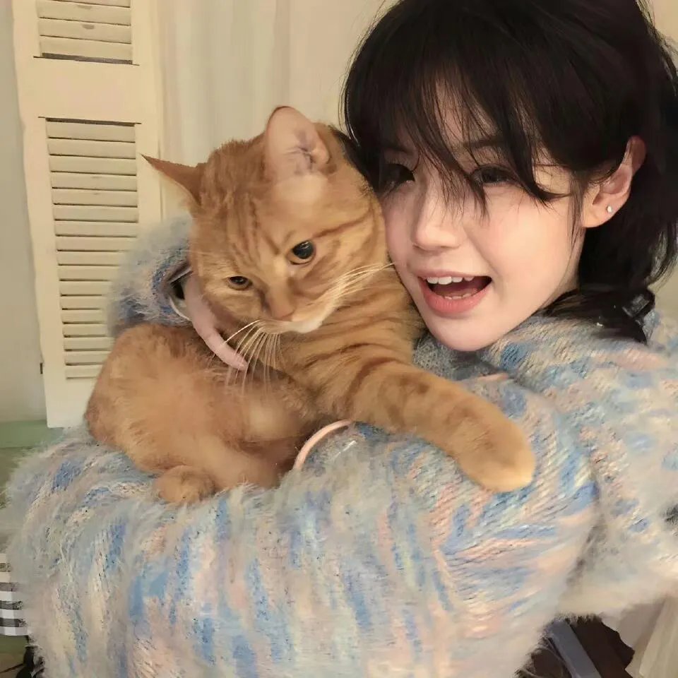我的心里住着一只猫